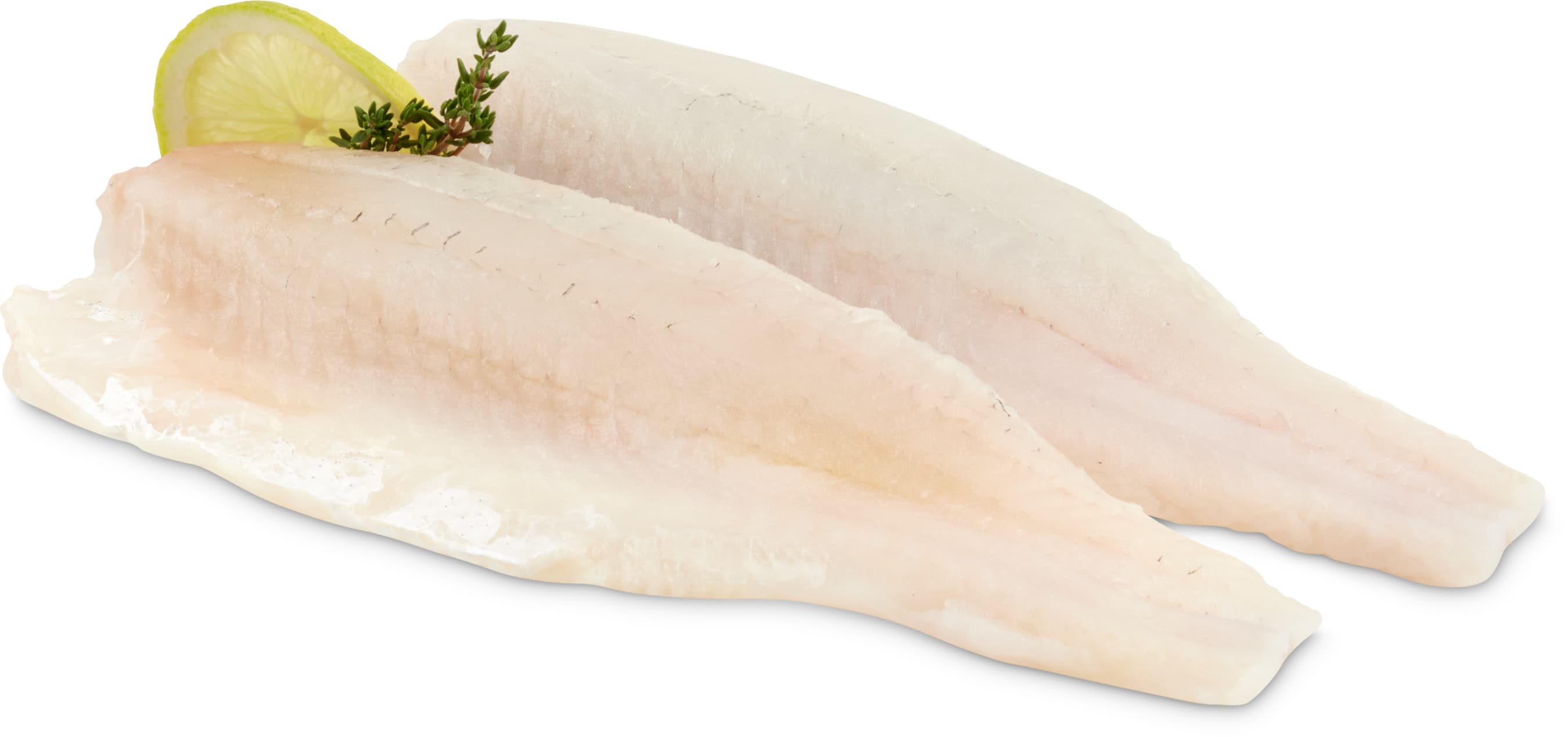 Filetto di lucioperca